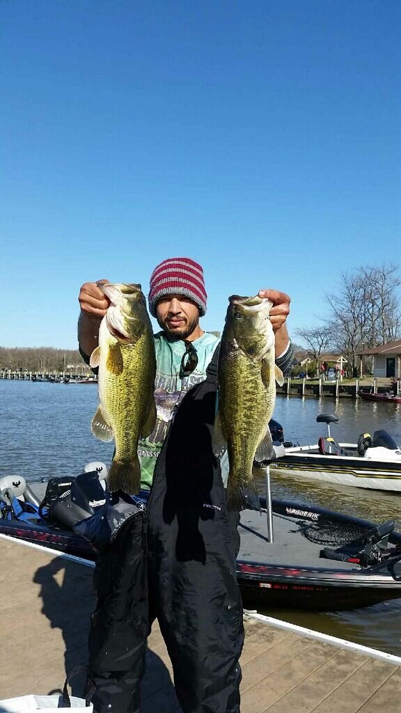 Double bass catch