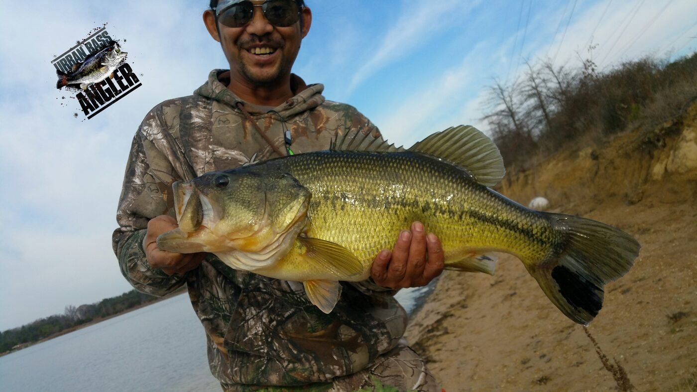 Camo bass